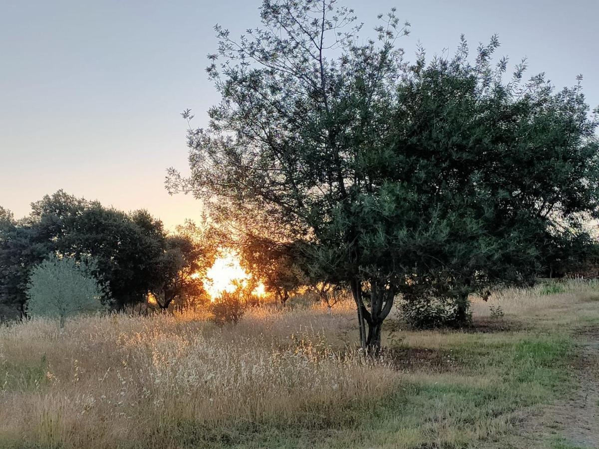 Vila Casa Rural Camino Del Alentejo La Codosera Exteriér fotografie