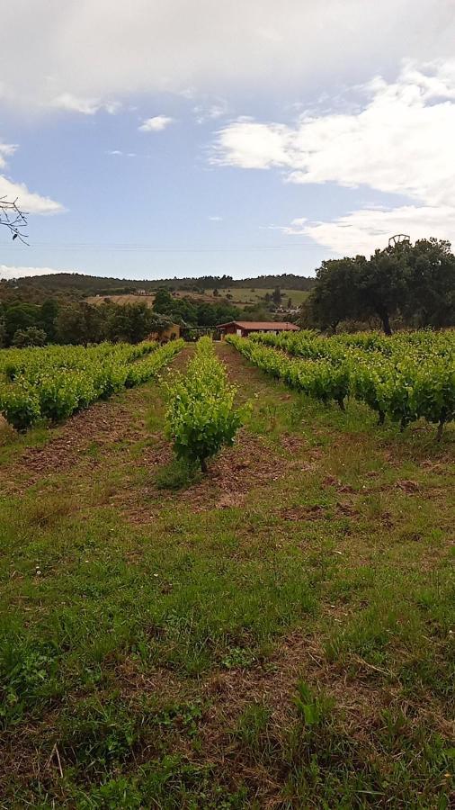 Vila Casa Rural Camino Del Alentejo La Codosera Exteriér fotografie