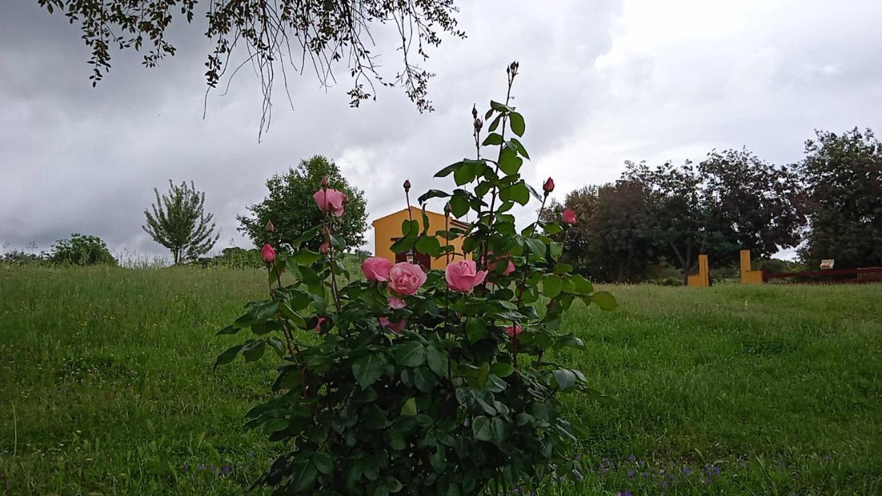 Vila Casa Rural Camino Del Alentejo La Codosera Exteriér fotografie