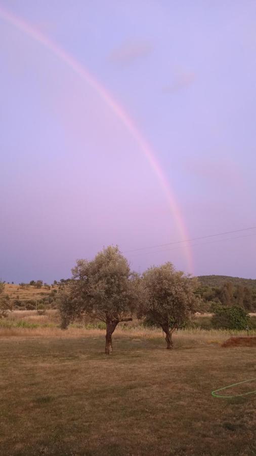 Vila Casa Rural Camino Del Alentejo La Codosera Exteriér fotografie