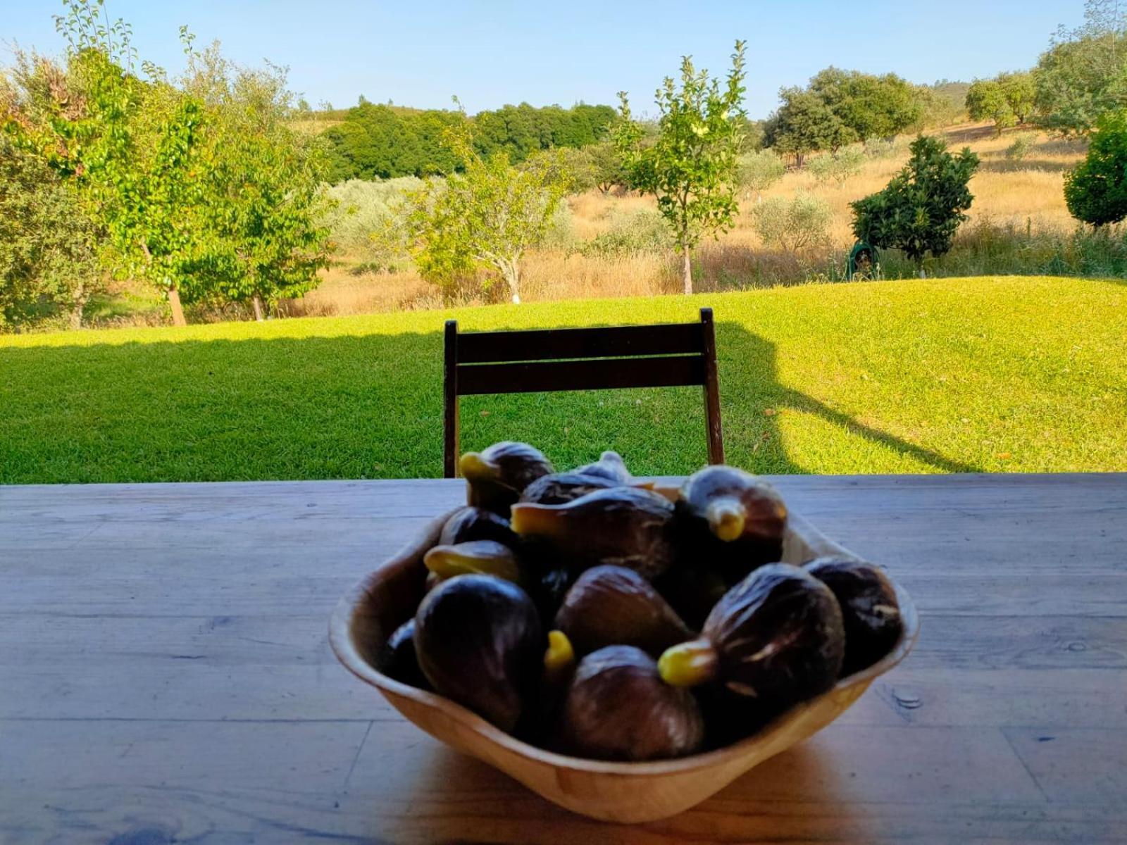 Vila Casa Rural Camino Del Alentejo La Codosera Pokoj fotografie